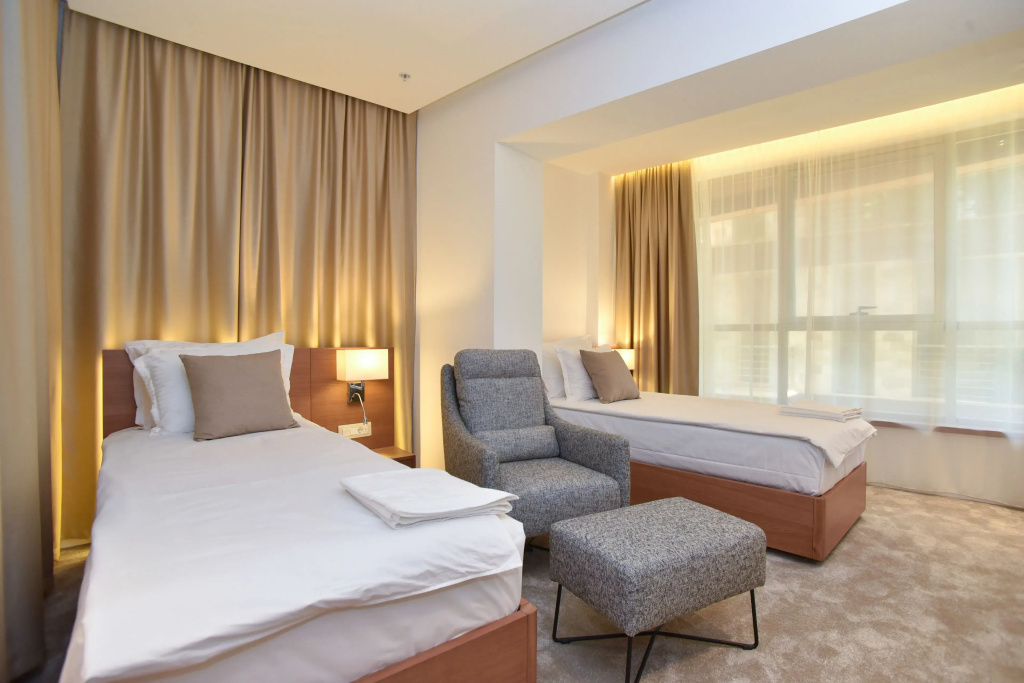 Deluxe Double room (twin beds)