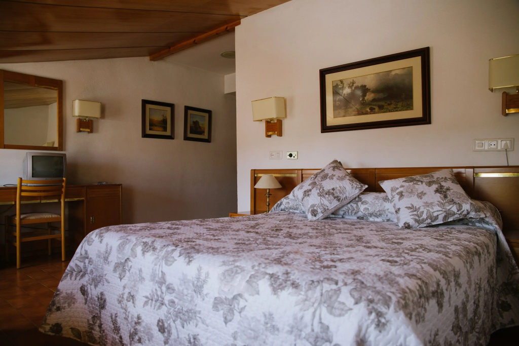 Standard Double Attic room (full double bed)