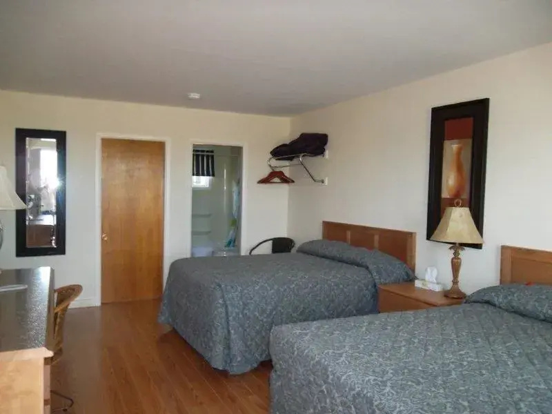 Standard Suite
