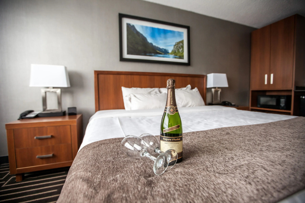 Standard Double room with city view full double bed