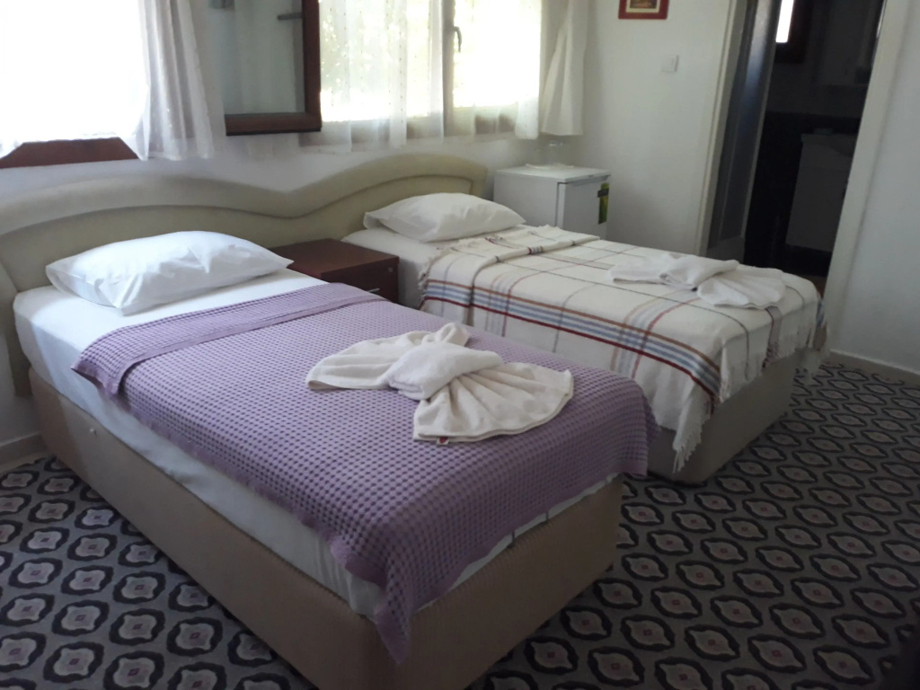 Standard Double room (twin beds)