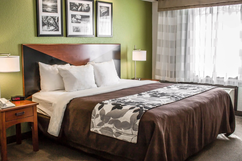 Standard Double room (full double bed)