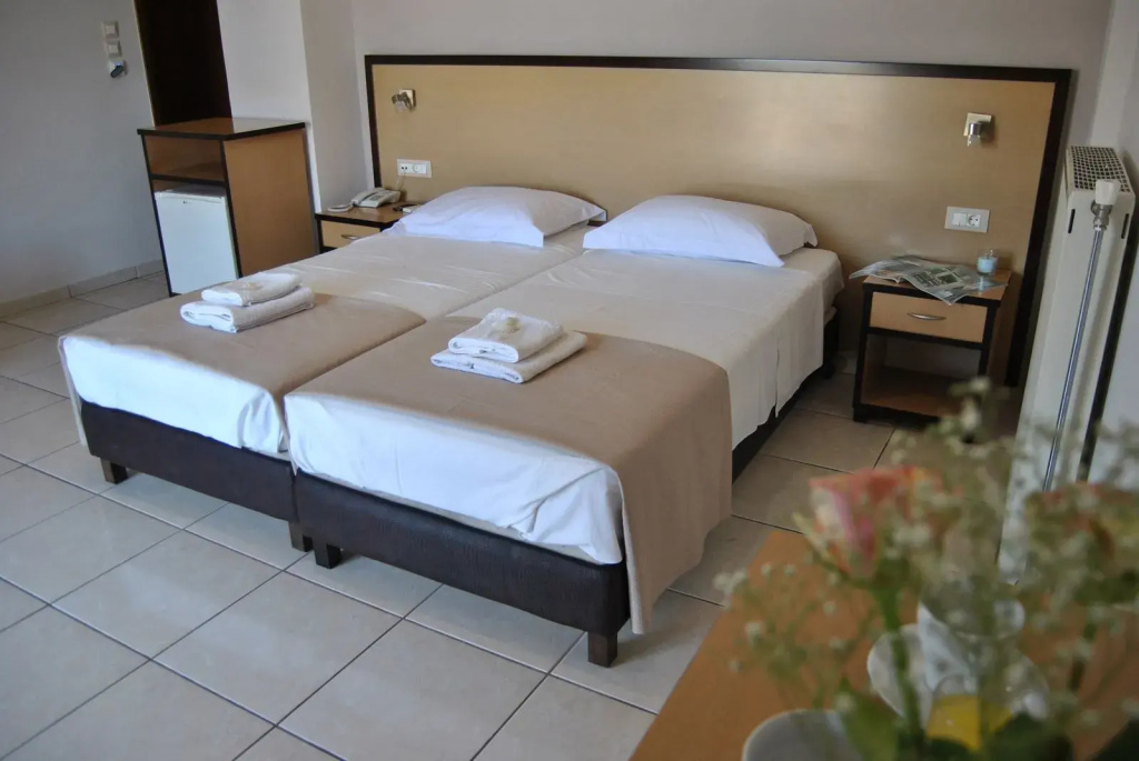 Standard Double room (twin beds)