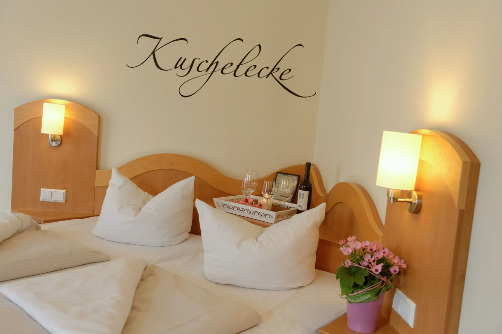 Standard Double room (full double bed)