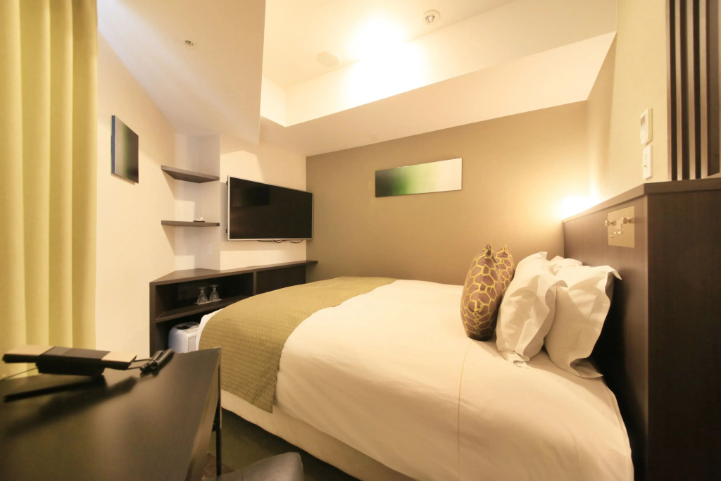 Standard Double room (full double bed)