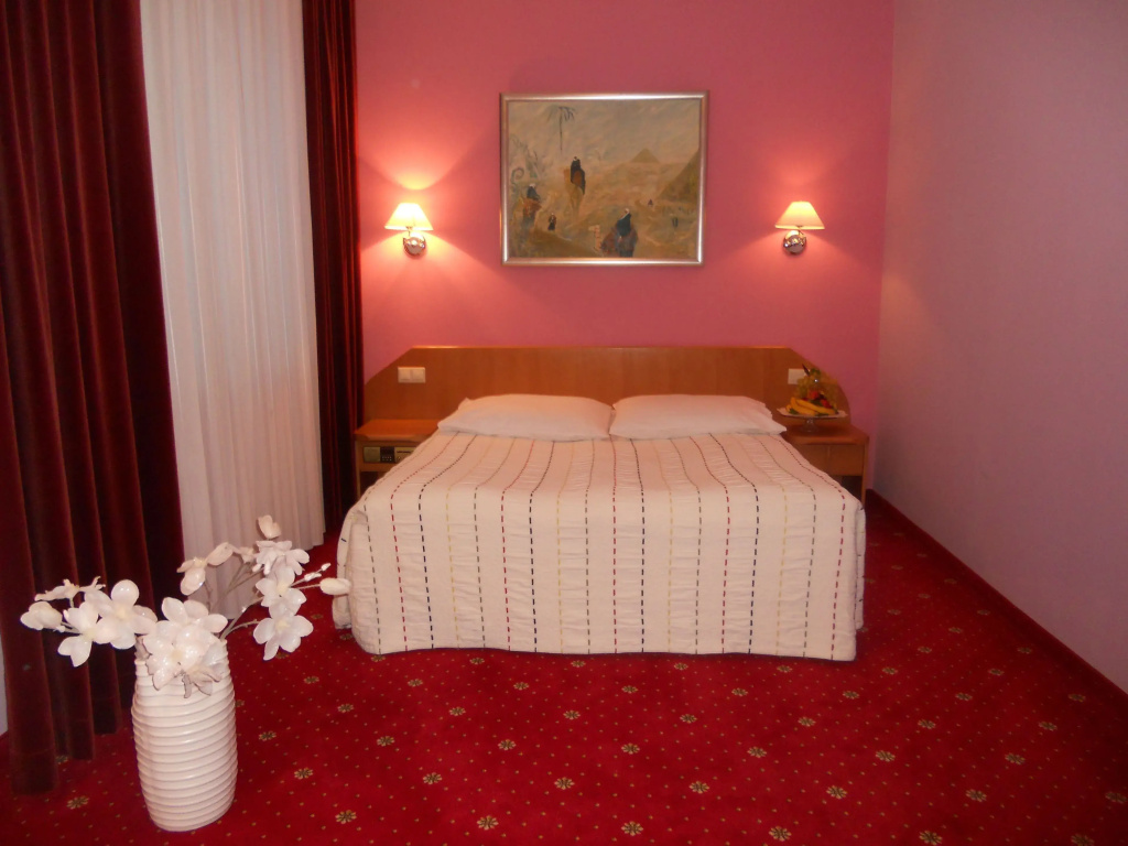 Standard Double room (full double bed)
