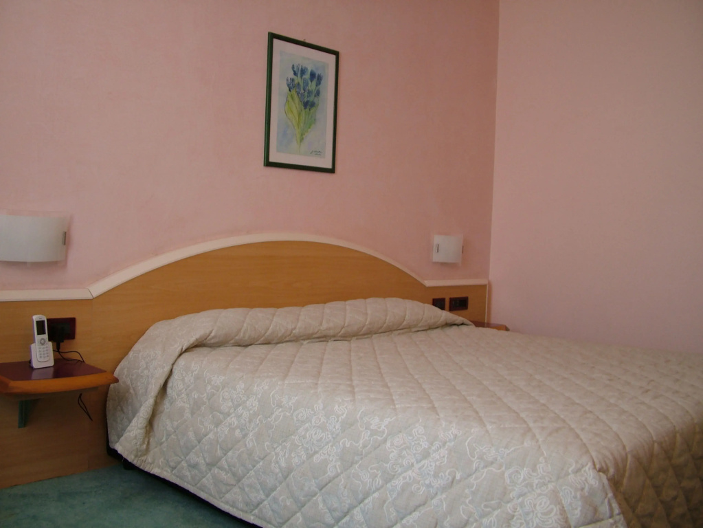 Standard Double room (full double bed)