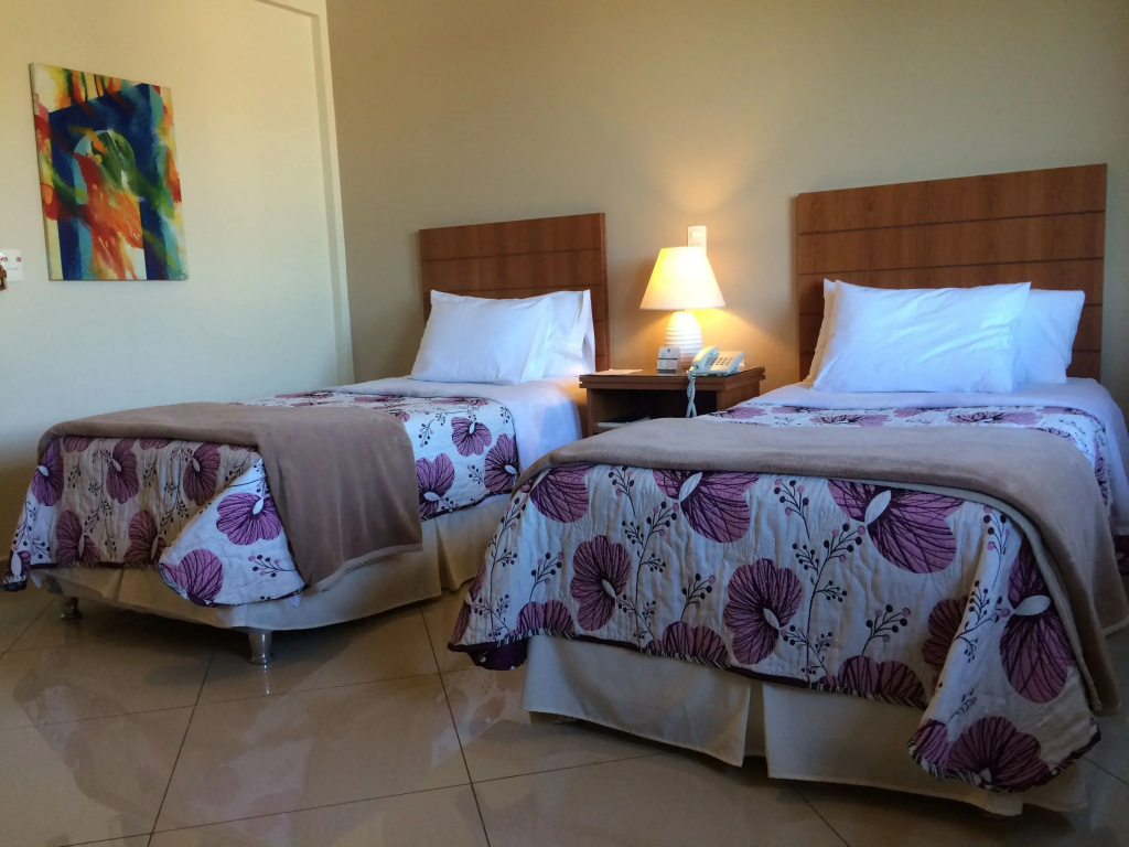 Premium Double room (twin beds)