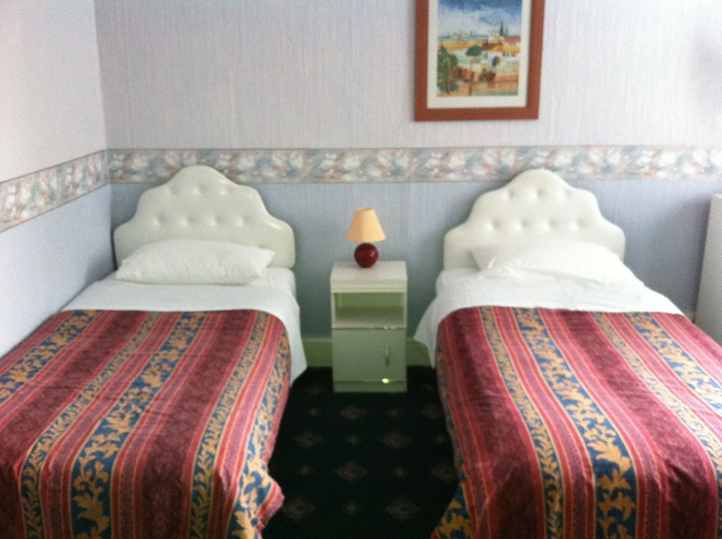 Standard Double room (twin beds)