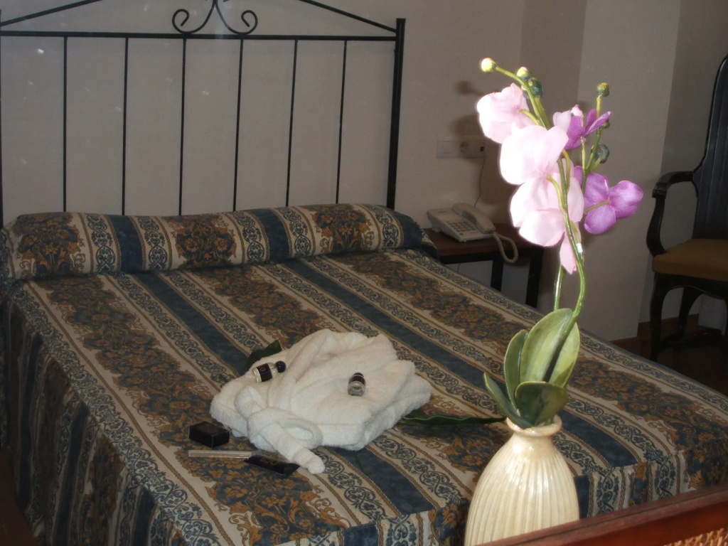 Standard Double room (full double bed)