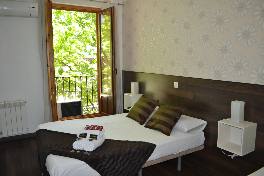 Standard Double room with city view (full double bed)