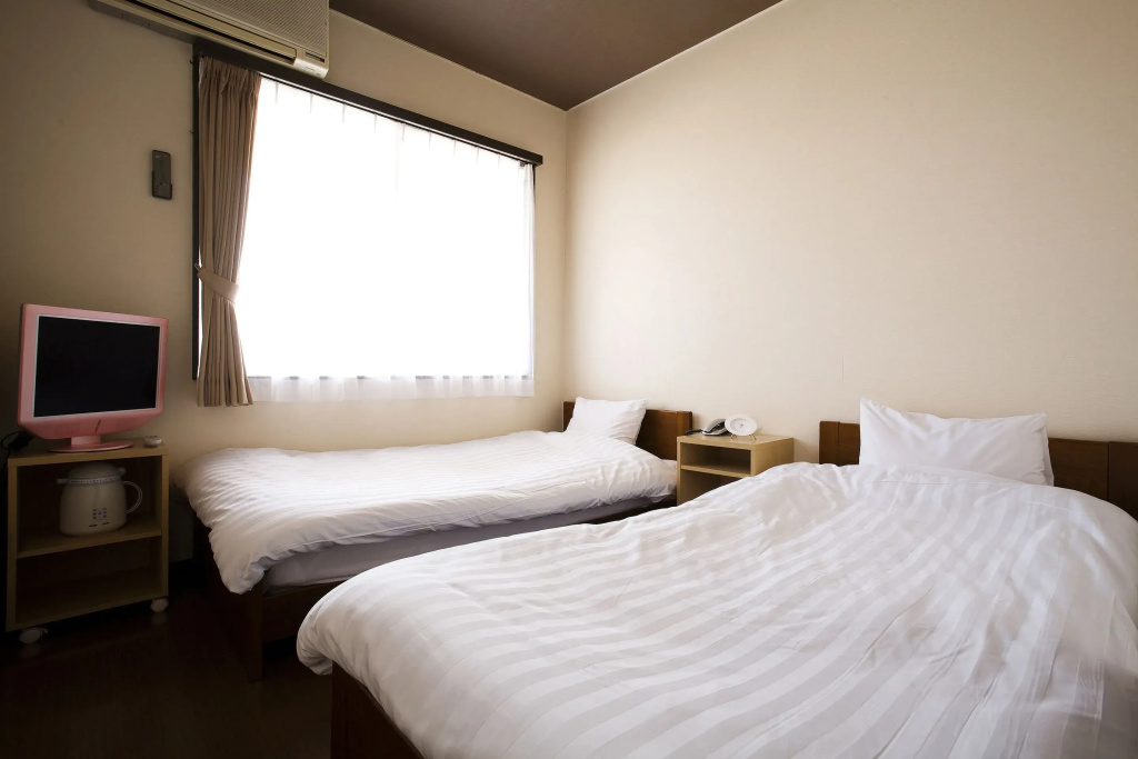 Standard Double room (twin beds)