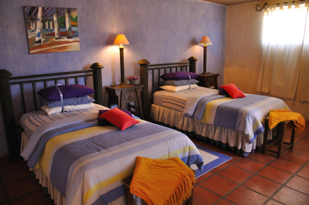 Standard Double room with city view (twin beds)