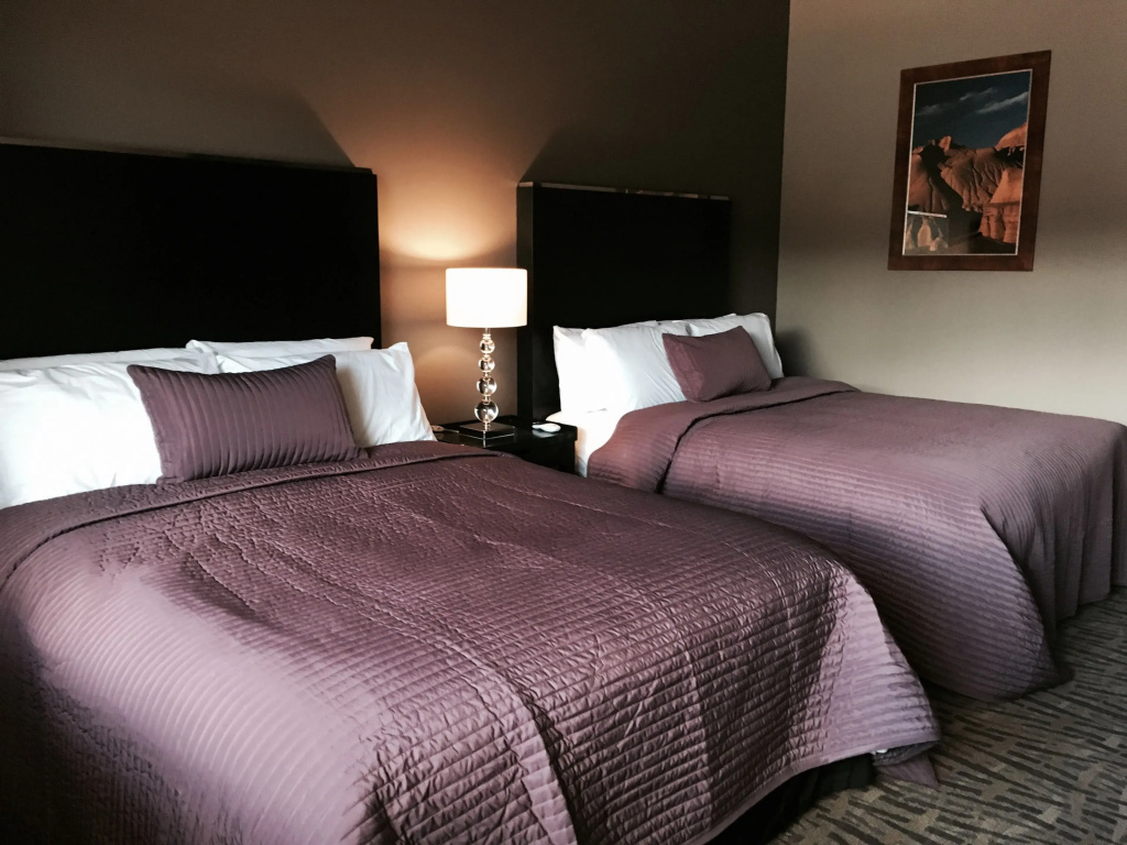 Hotel Del Sol, Boutique Phoenix Airport - Chambres