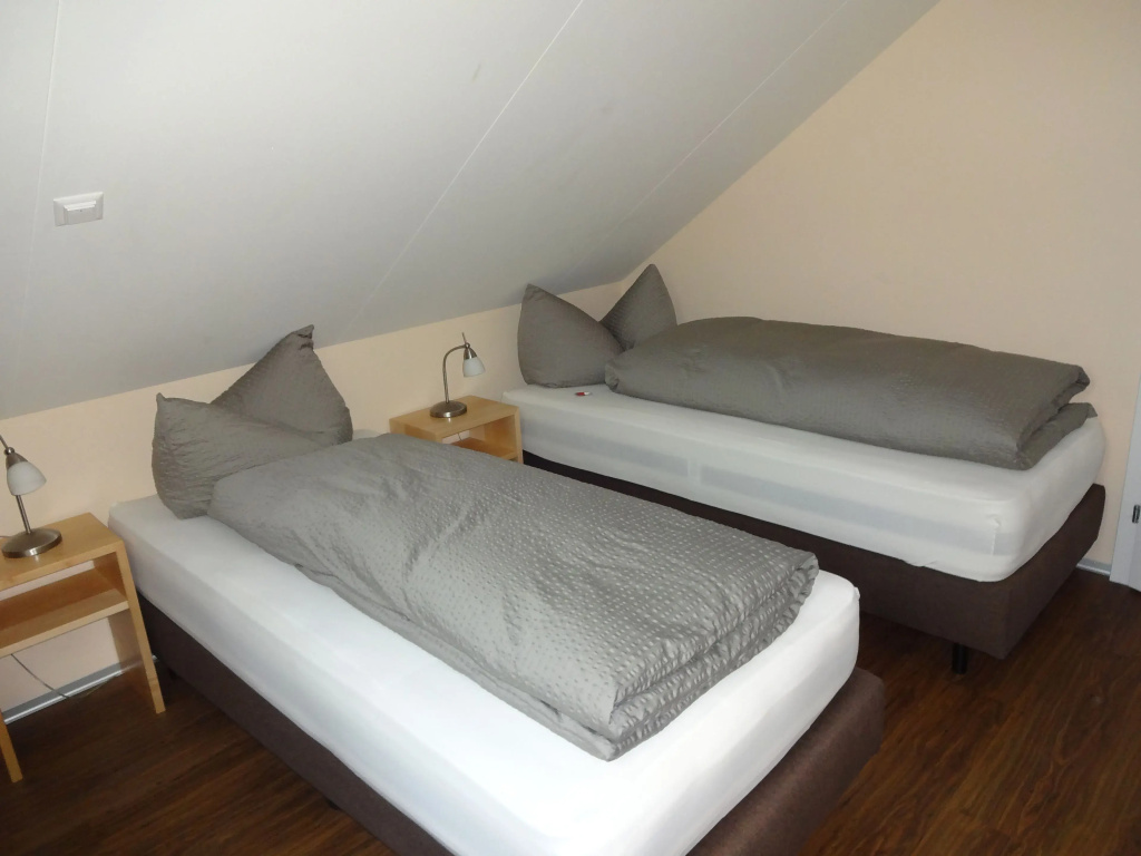 Standard Double room (twin beds)