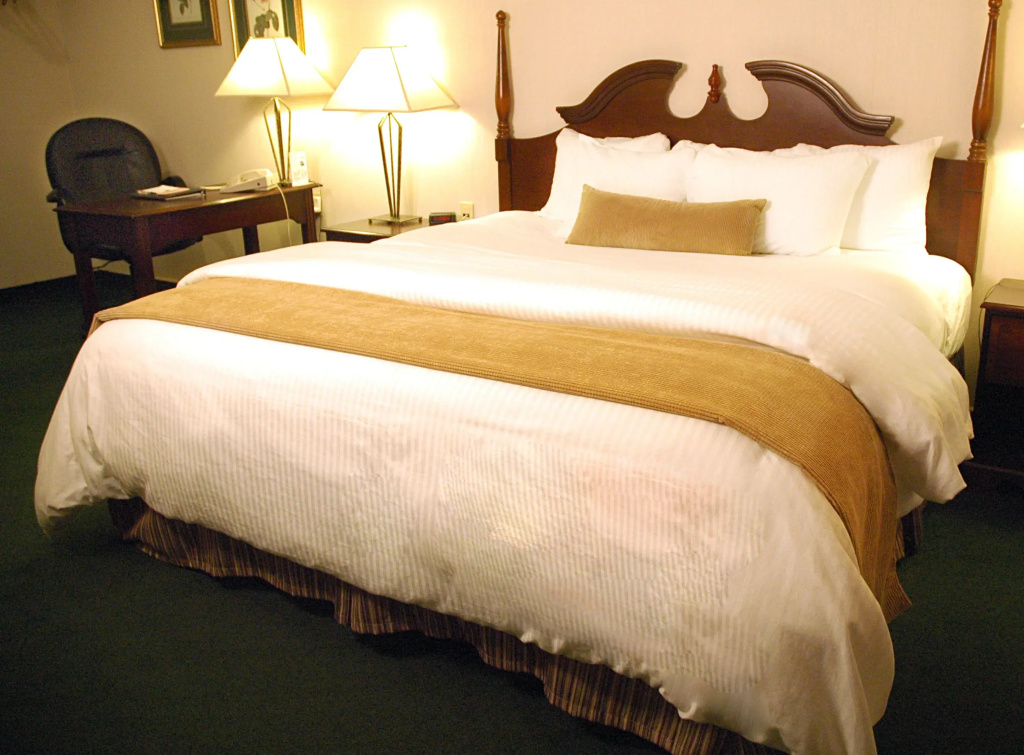 Ambassador Hotel - Chambres