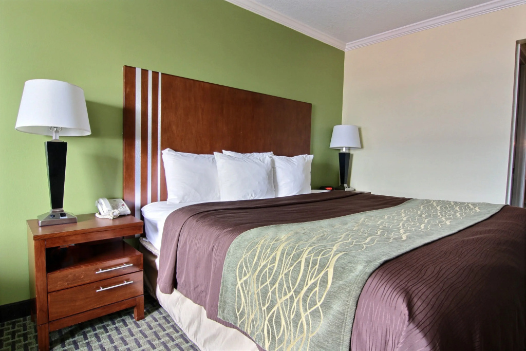 Days Inn by Wyndham Austintown - Chambres