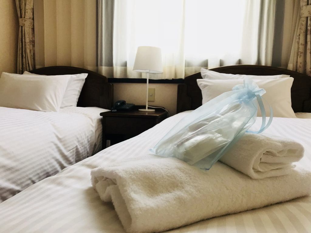 Standard Double room (twin beds)