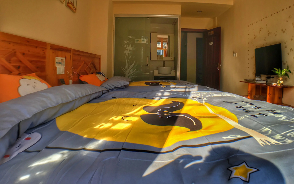 Comfort Double room with city view (twin beds)