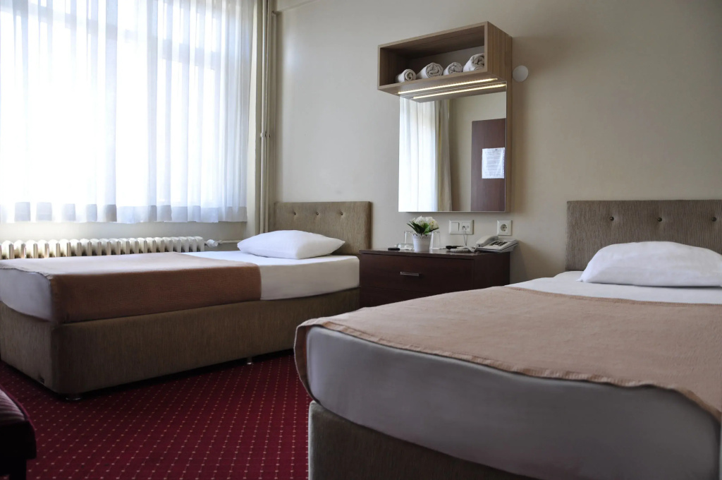 Standard Double room (twin beds)