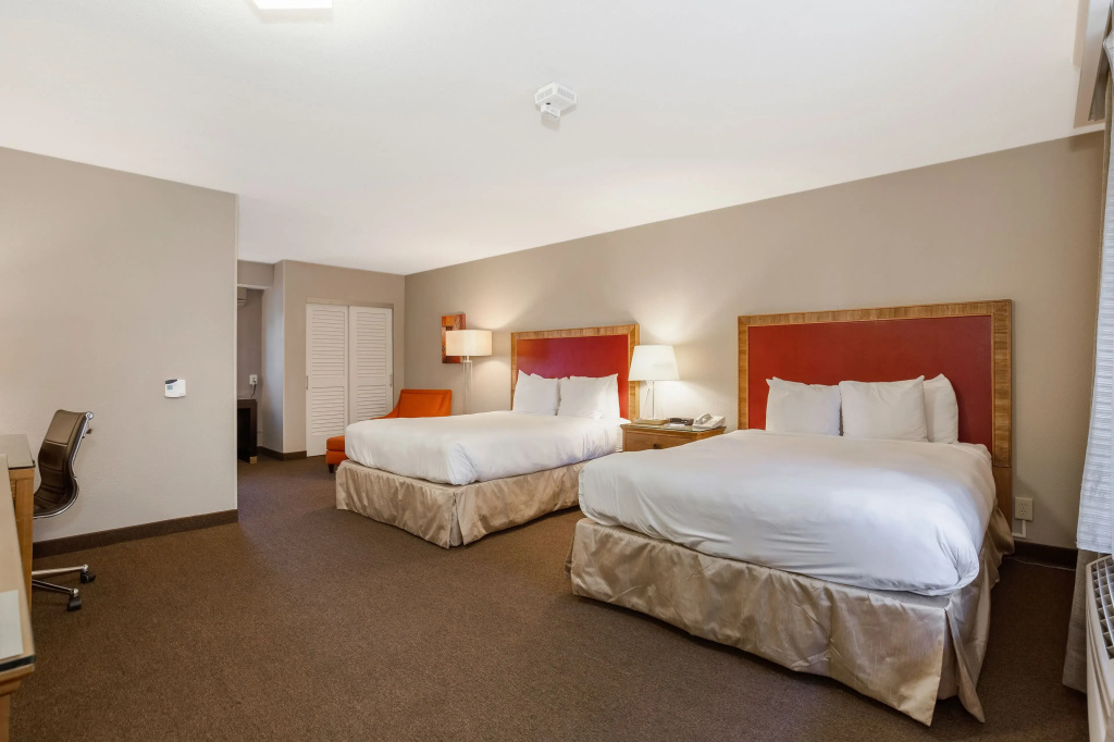 Radisson Hotel San Diego-Rancho Bernardo - Chambres