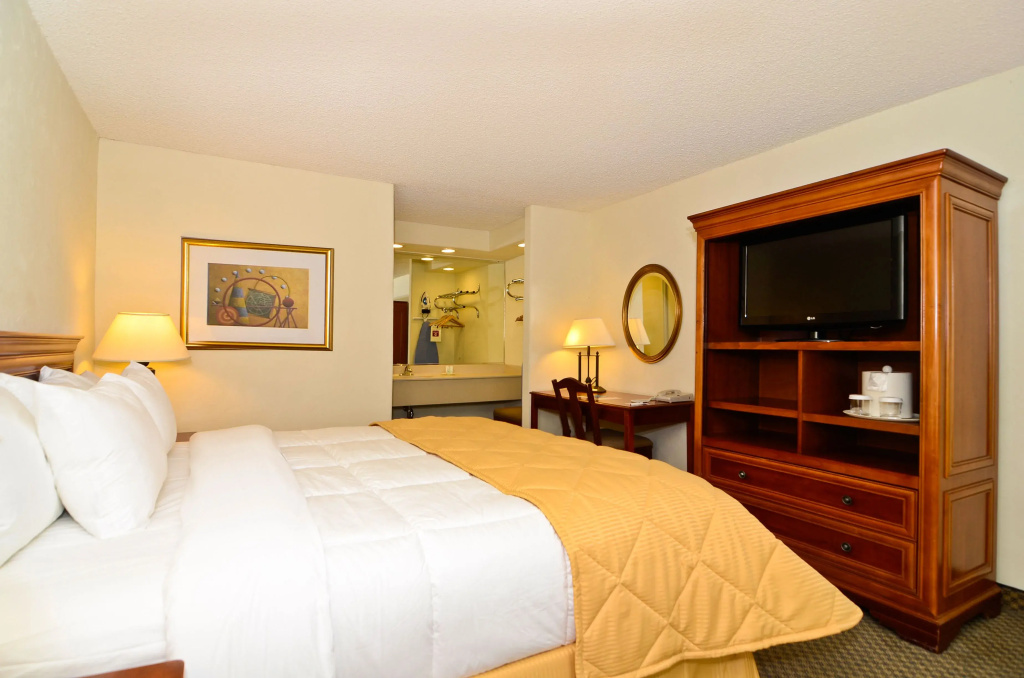 Standard Double room (full double bed)