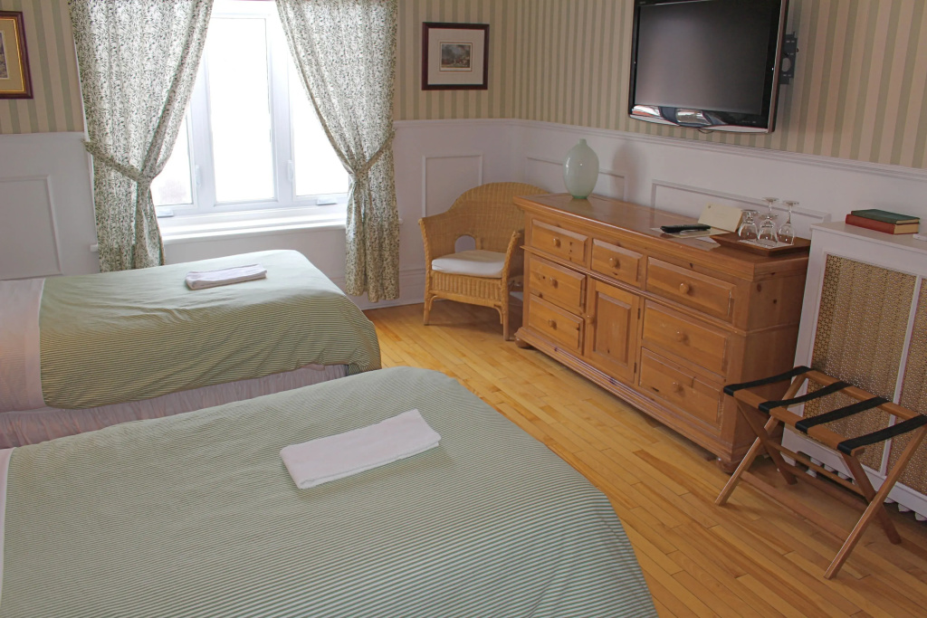 Superior Double room (twin beds)