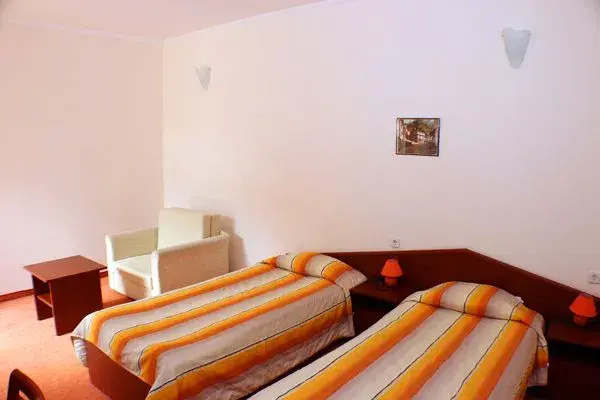 Dafovska Hotel - Chambres