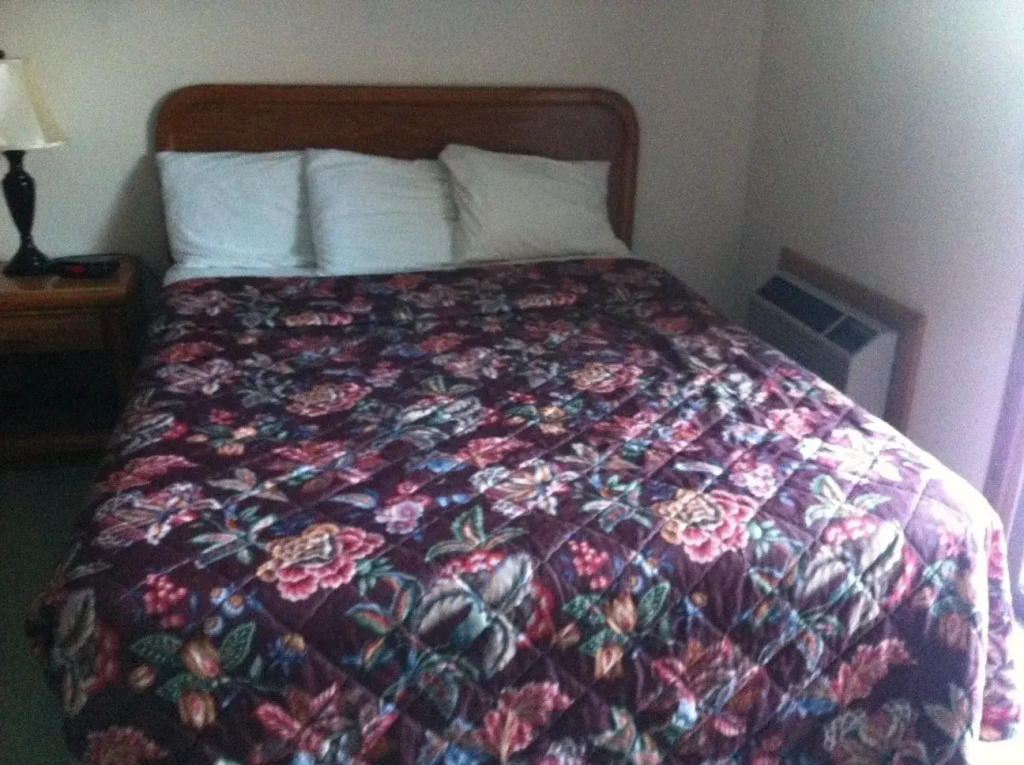 Standard Double room with lake view (full double bed)