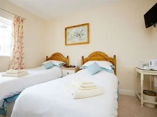 Standard Double room twin beds