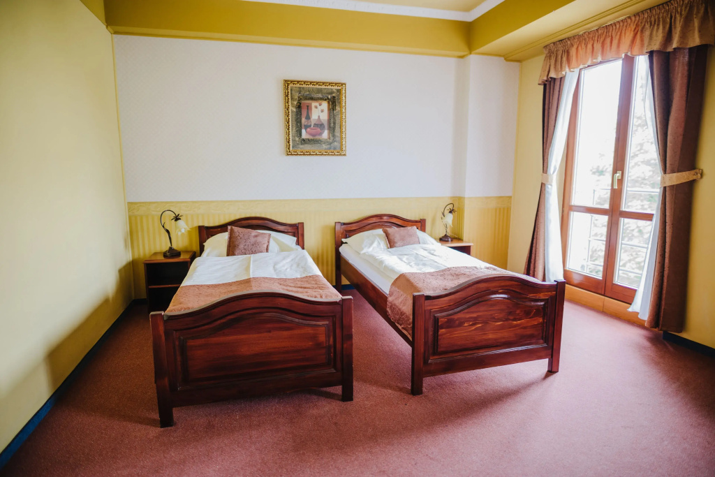 Standard Double room (full double bed)