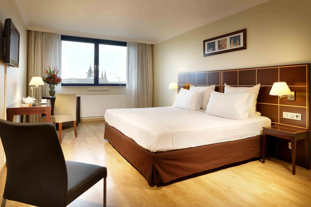 Standard Double room (full double bed)