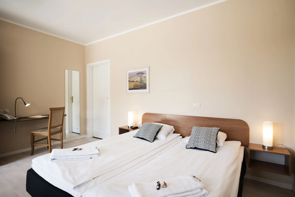 Standard Double room (full double bed)