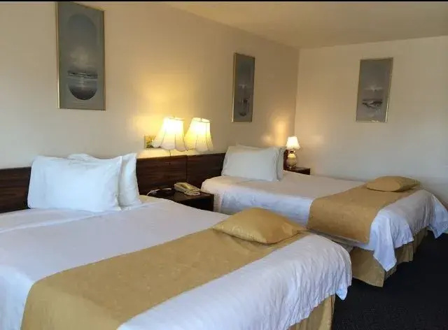 Double Suite (full double bed)