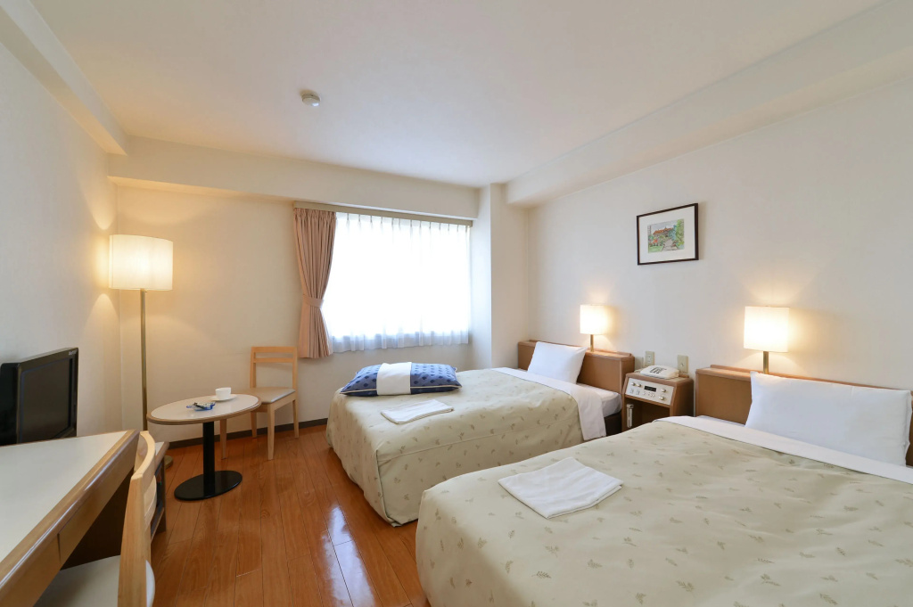 Standard Double room (twin beds)