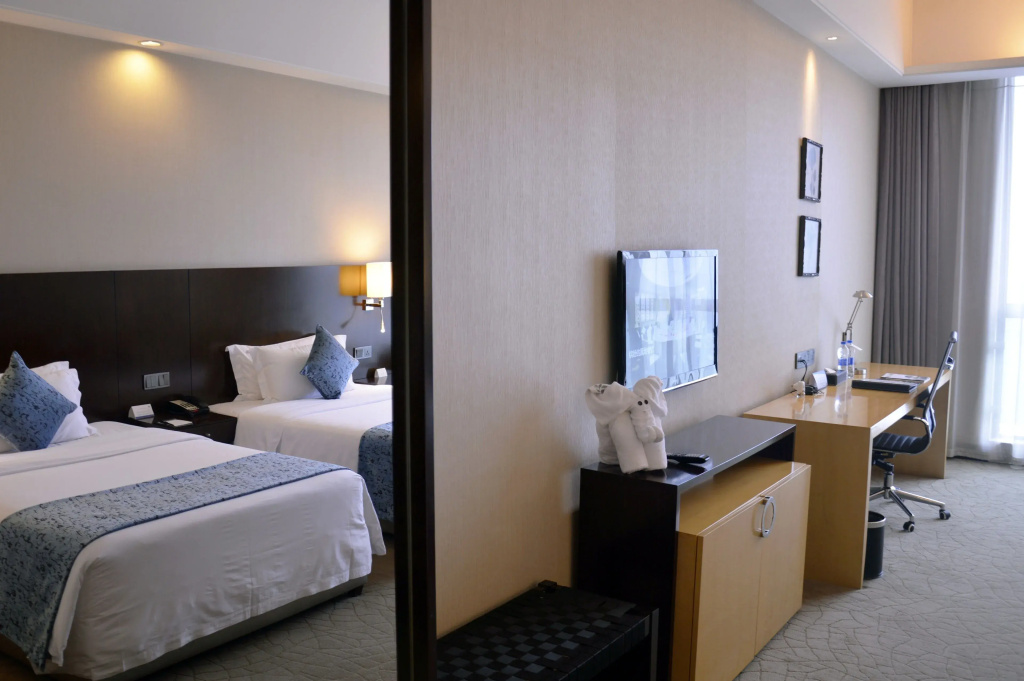 Deluxe Double room (twin beds)