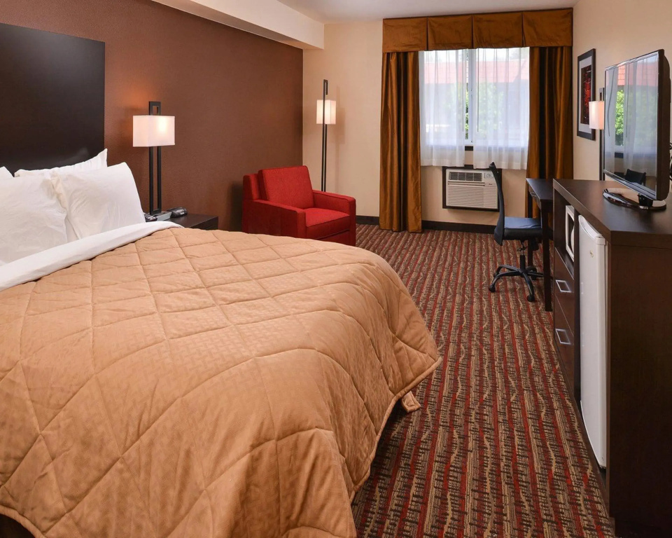 Standard Double room (full double bed)