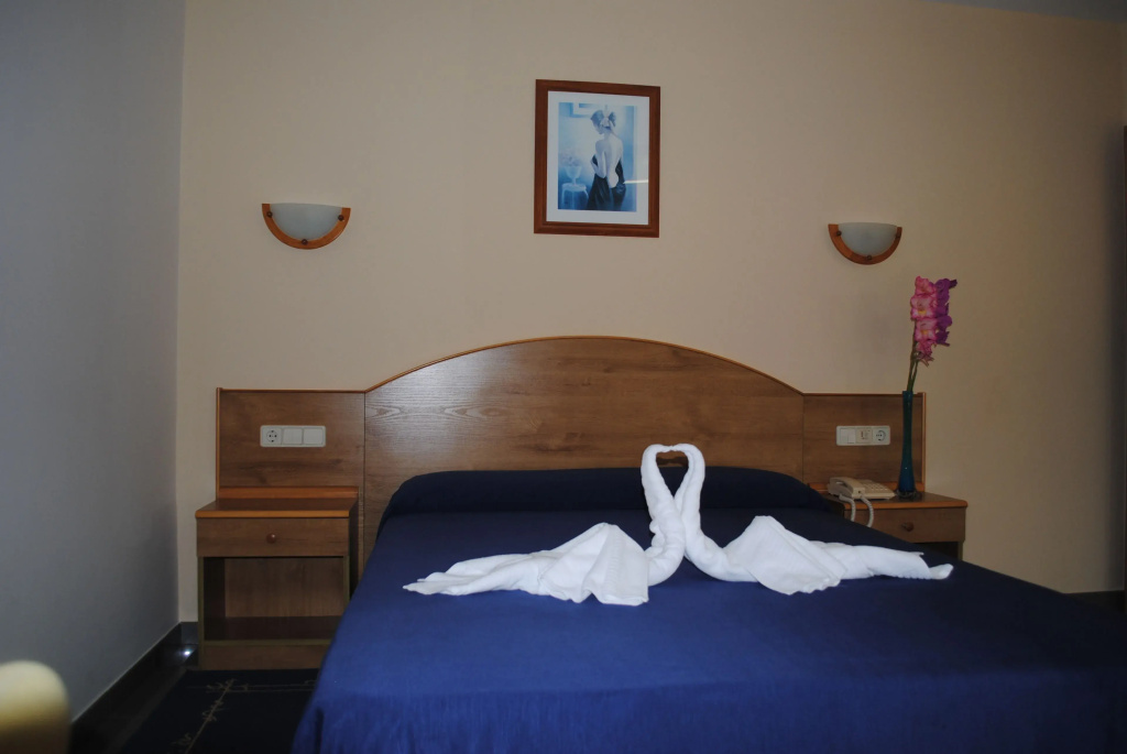Superior Double room (full double bed)