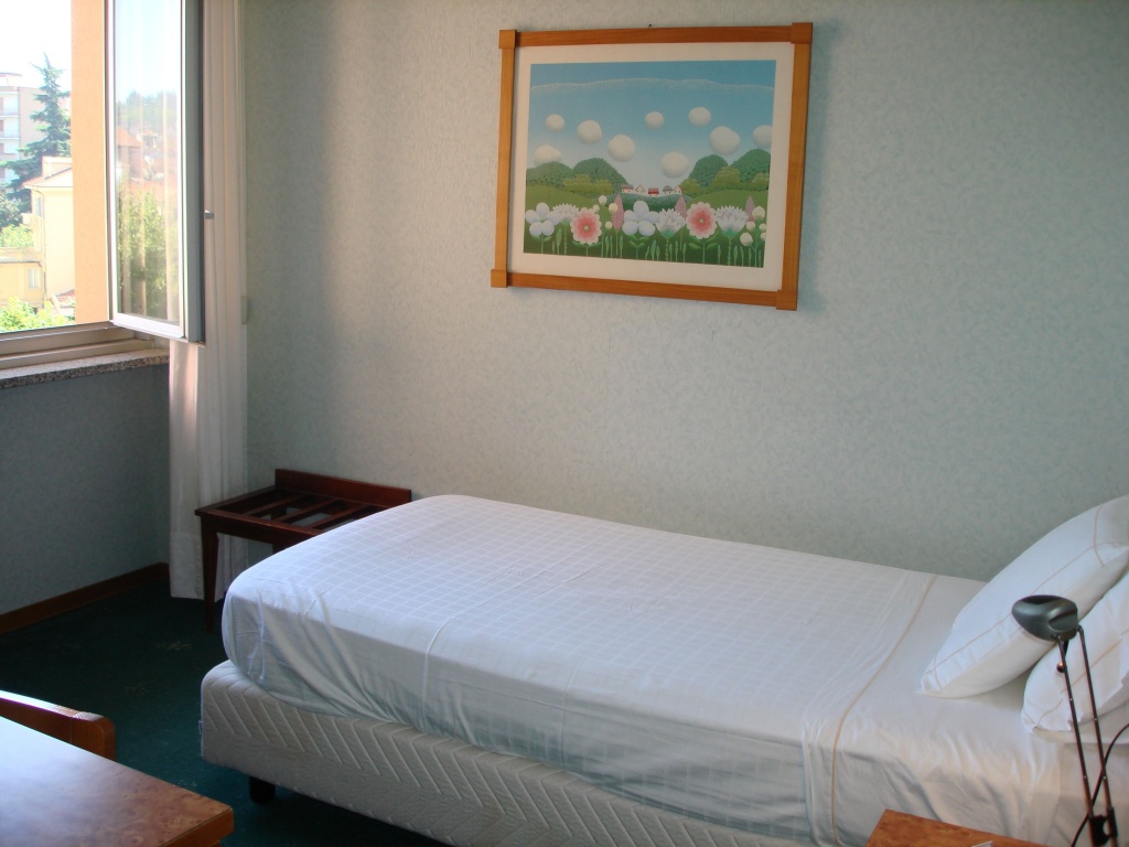 Standard Single room (single bed)