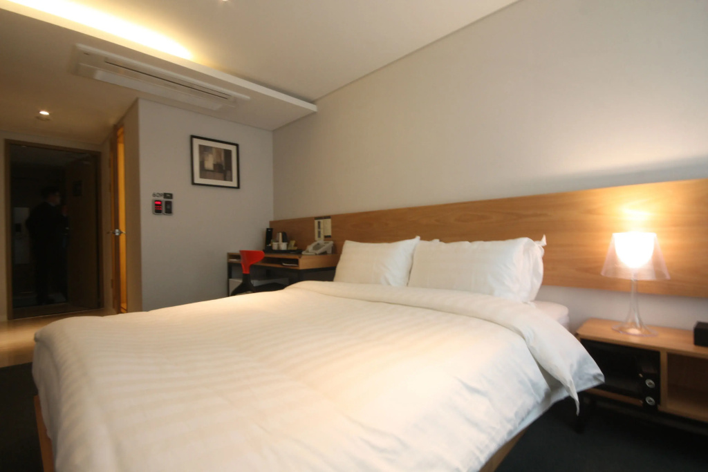 Standard Double room (full double bed)