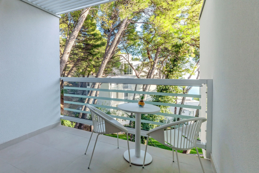 Standard Double room with balcony (full double bed)