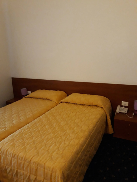 Economy Double room (twin beds)