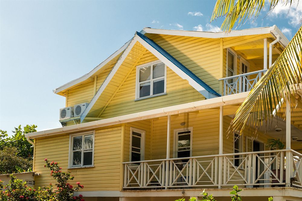 андрес дома