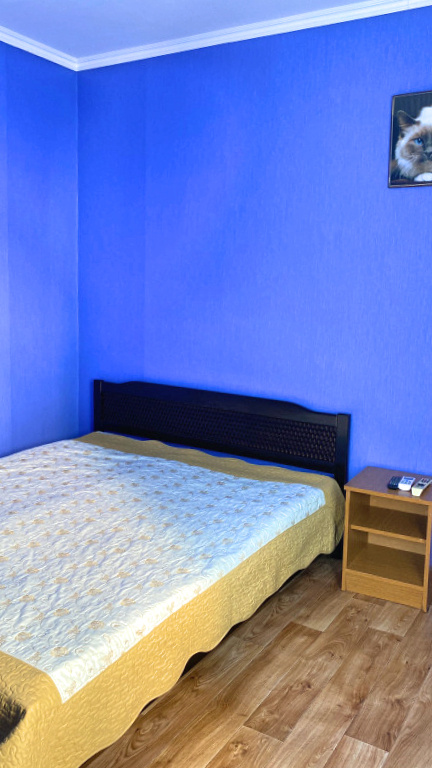 Standard Double room with balcony and with mountain view (full double bed)