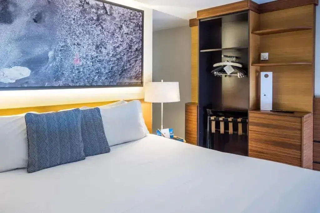 Hôtel & Spa - Thalazur Bandol Ile Rousse - Chambres