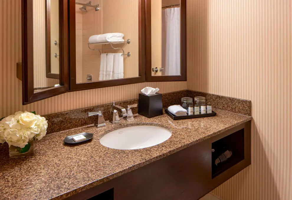 Sheraton Houston Brookhollow Hotel - Chambres
