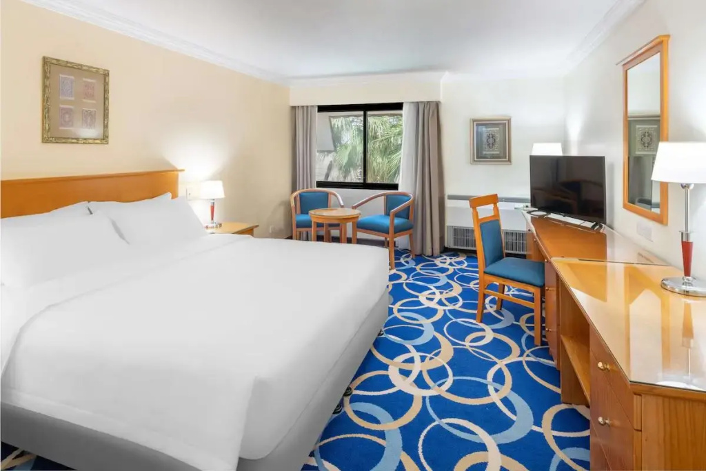 Executive Double room (full double bed)