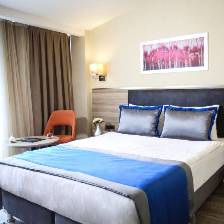 Standard Double room (full double bed)