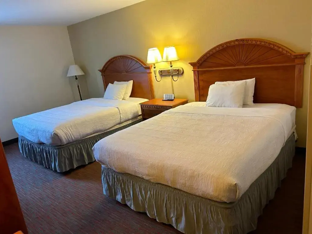 Standard Double room (twin beds)