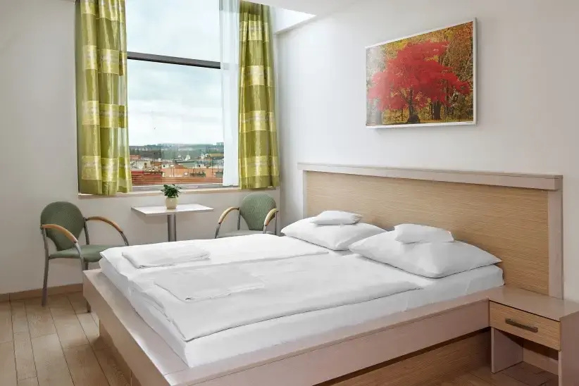 Standard Double room (full double bed)